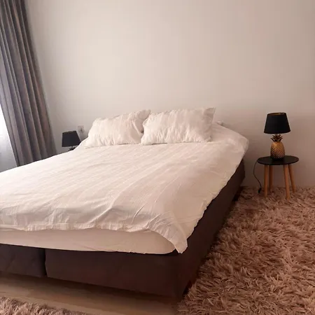 Apartamento Kaksio *